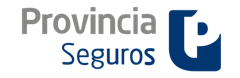 Provincia Seguros